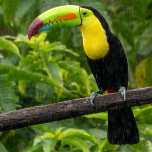 Costa Rica - szívvel, lélekkel