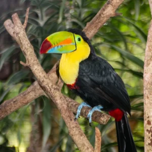 Costa Rica - szívvel, lélekkel