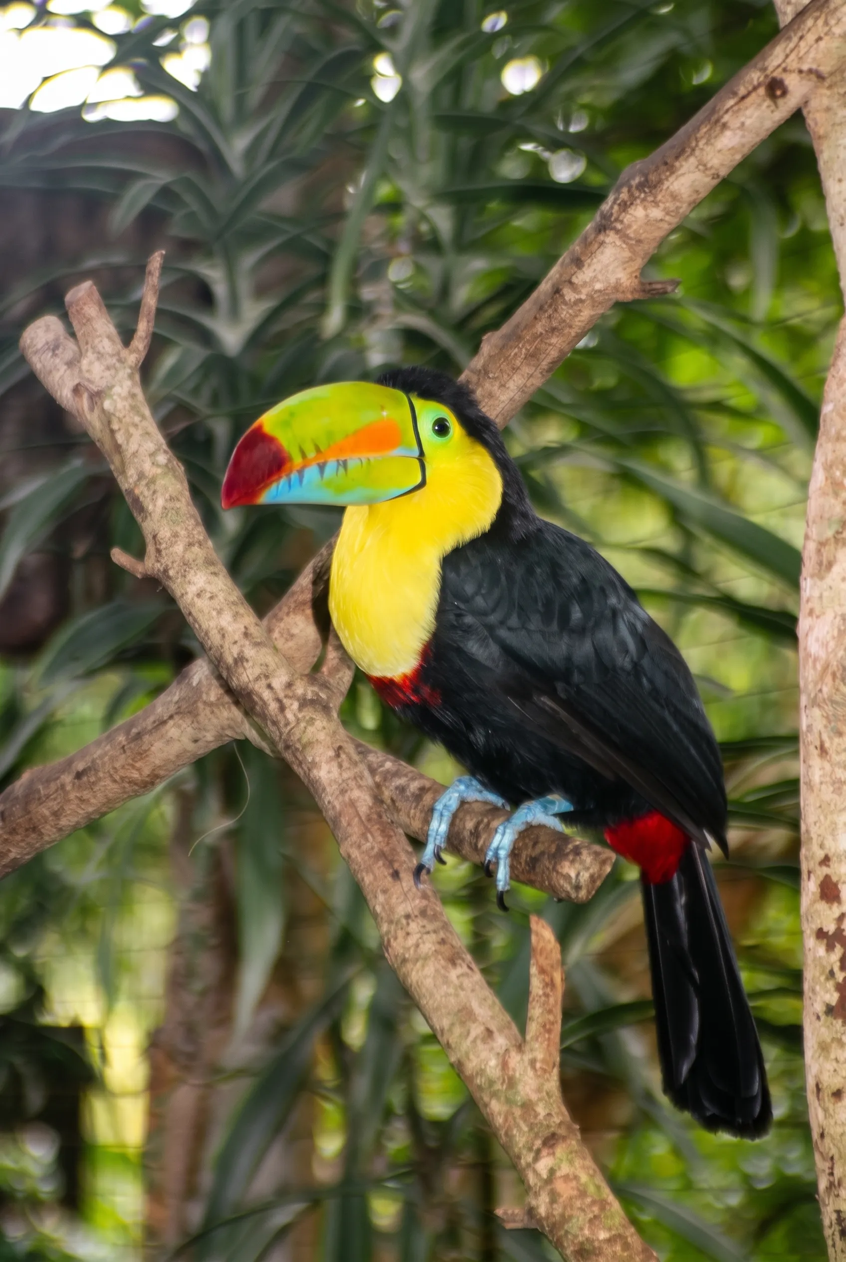 Costa Rica – szívvel, lélekkel